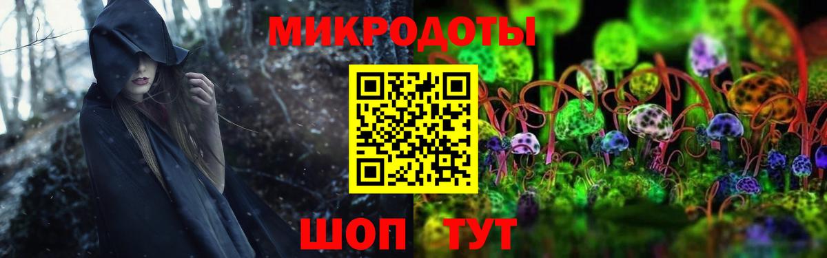 Нововоронеж  Псилоцибиновые грибы Psilocybine cubensis  Галлюциногенные грибы мицелий  Вход с VPN 