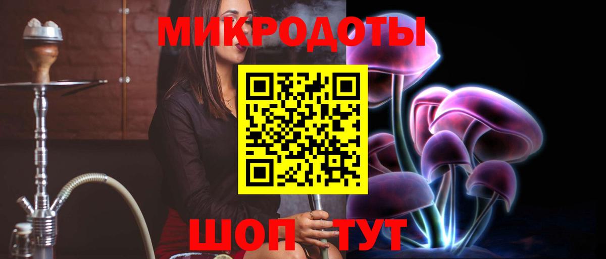 Галлюциногенные грибы Psilocybine cubensis Нововоронеж